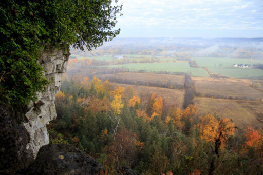 Conservation Halton