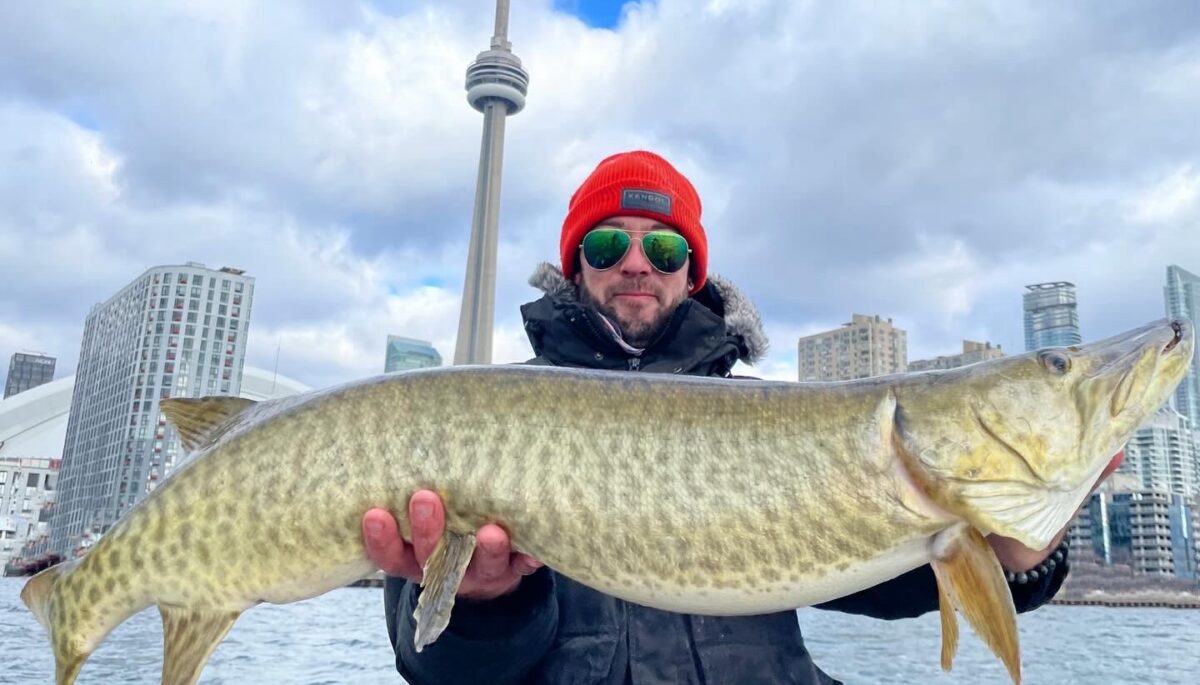 Toronto Harbour