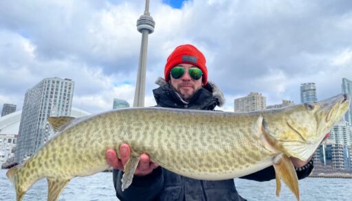Toronto Harbour