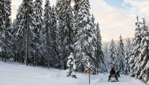 Groomed Snowmobile Trail