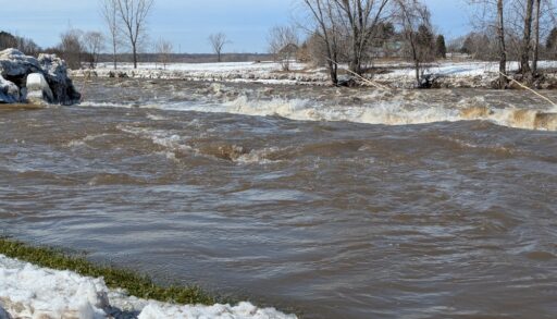Riverbanks