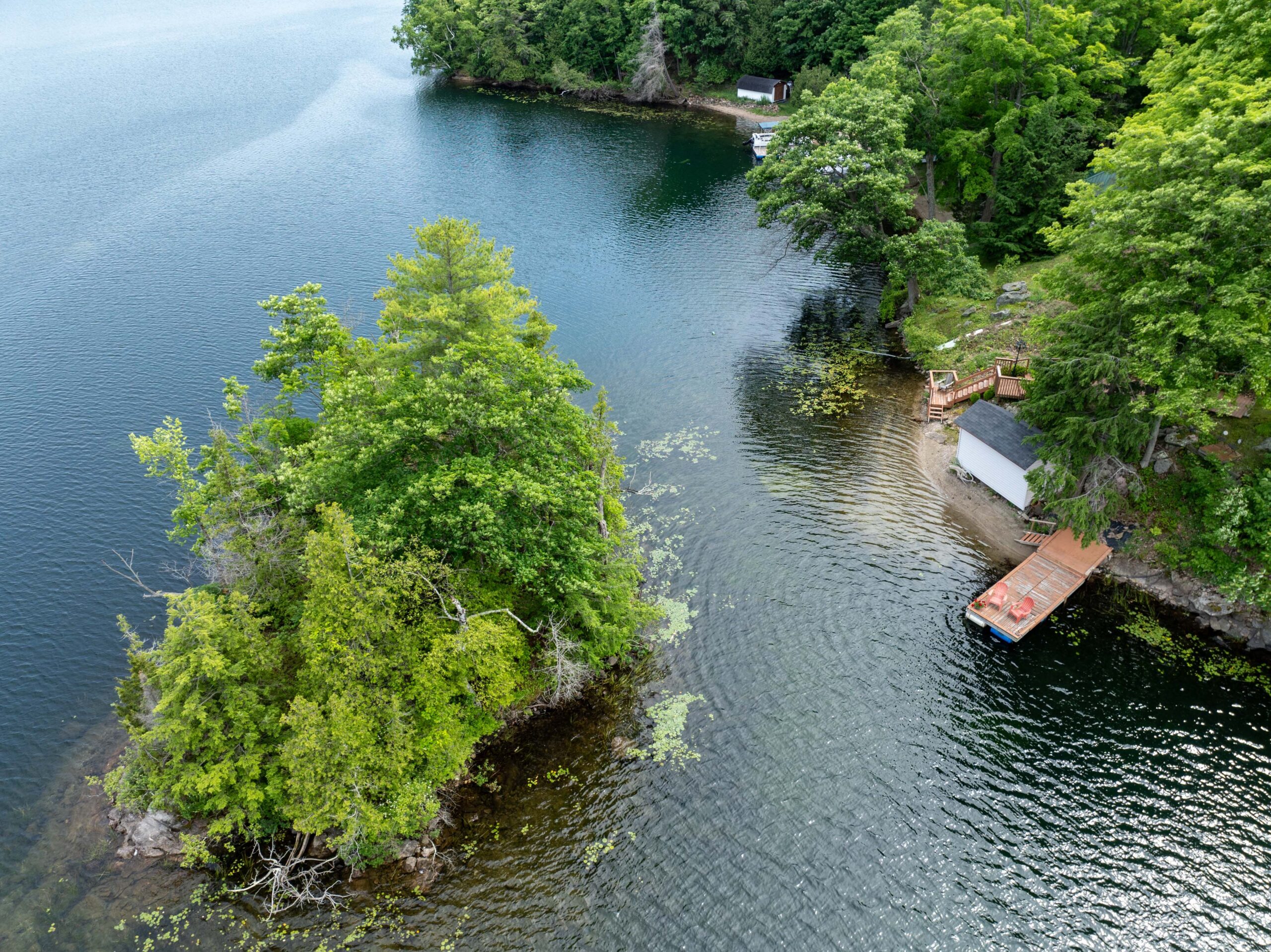 A lush island in a blue lake