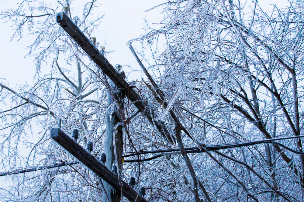 Ice Storm