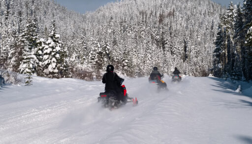 Snowmobilers riding down a snowy forest path