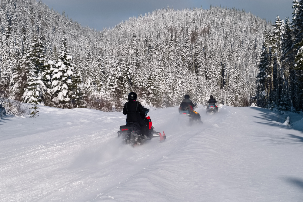Snowmobilers riding down a snowy forest path