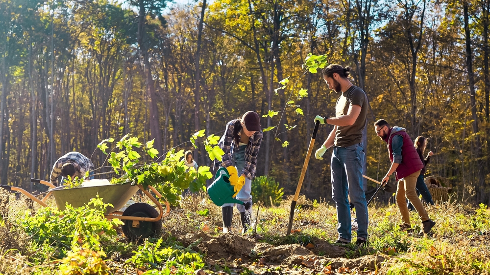 People digging and watering soil to plant trees in a forest.