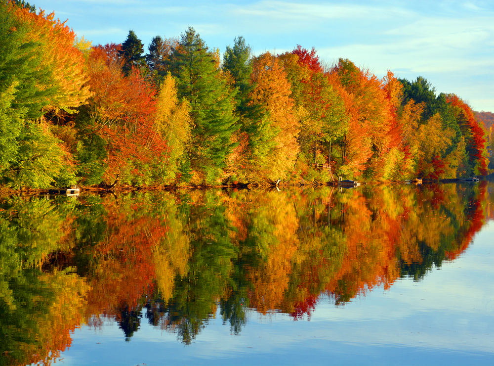 Changing Leaves