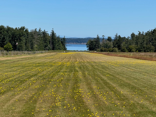 Grassy private landing strip on Sidney Island leading toward ocean and distant shoreline