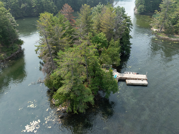 A small island with lush trees and a dock jutting out into the lake