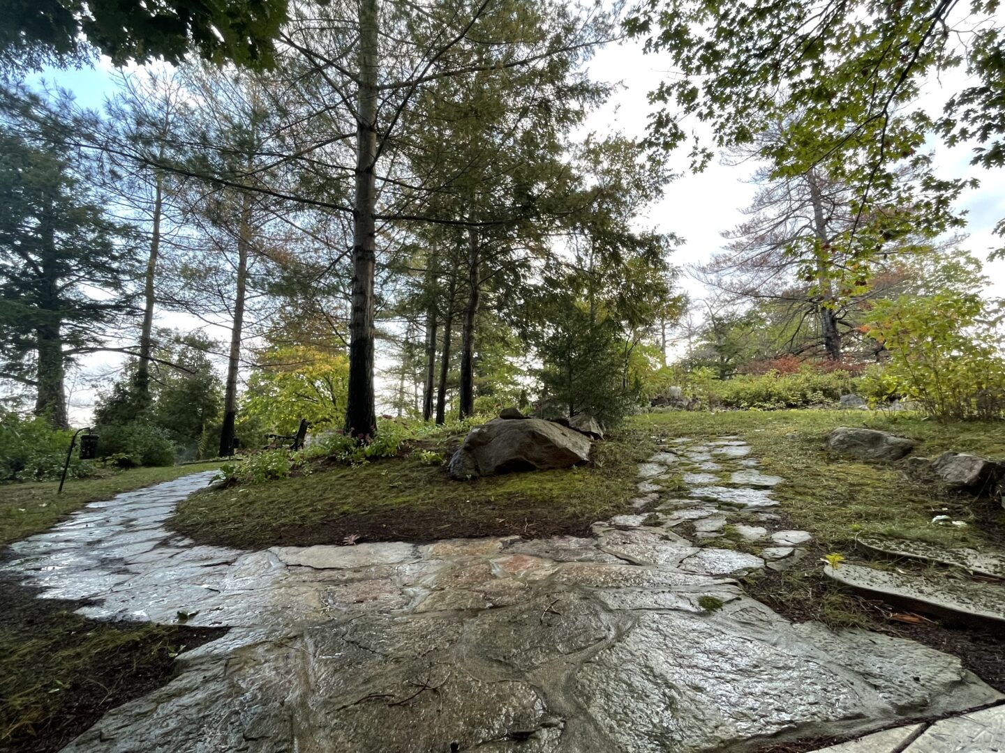 A stone walkway around a grassy area with trees