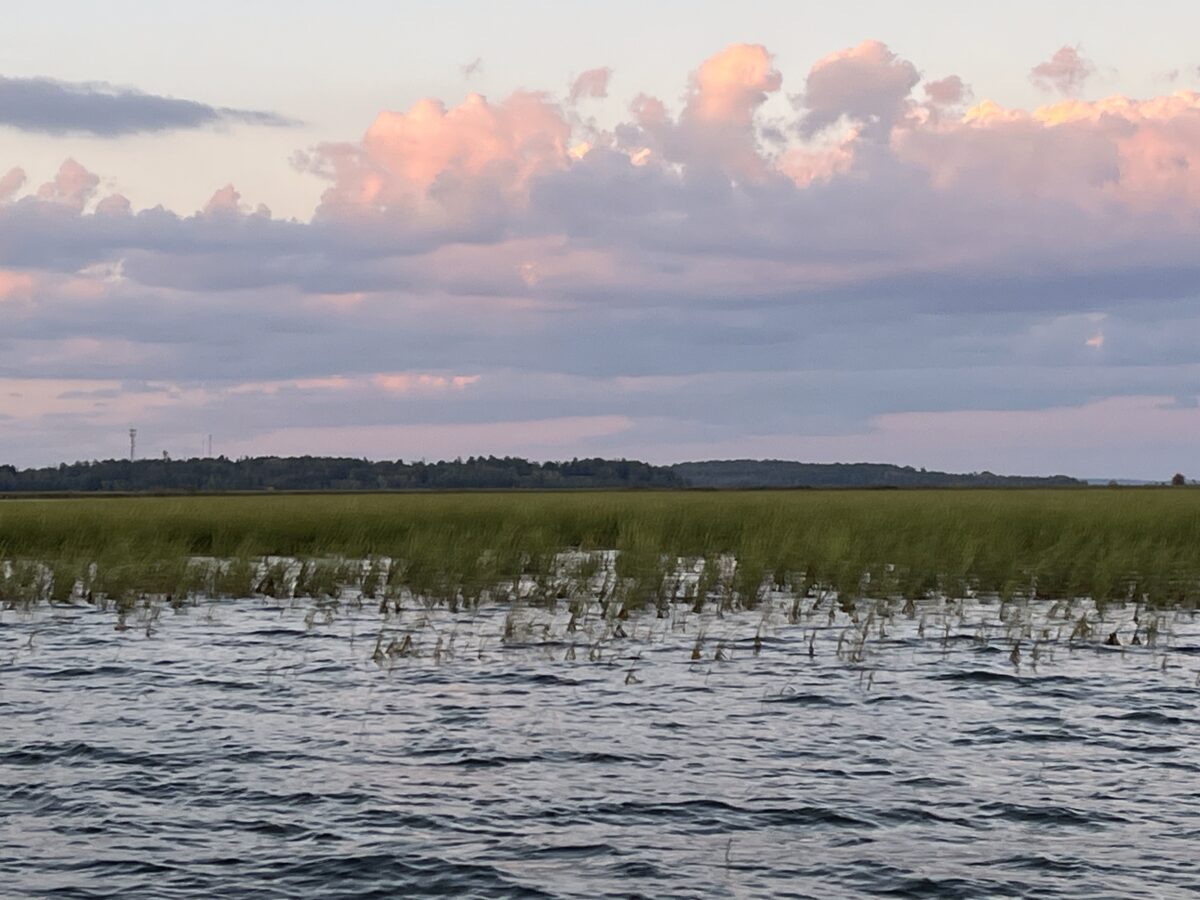 A photo of Rice Lake